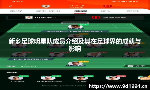 新乡足球明星队成员介绍及其在足球界的成就与影响